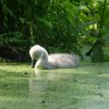 Spreewald47