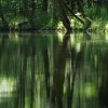 Spreewald50