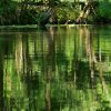 Spreewald51