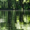 Spreewald52