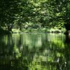 Spreewald53