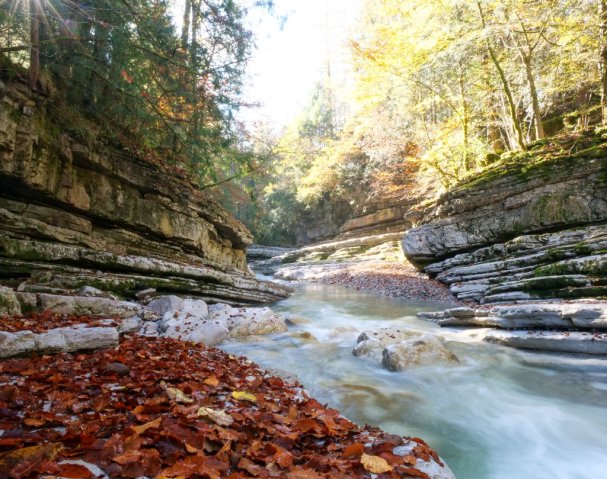 tauglbach12
