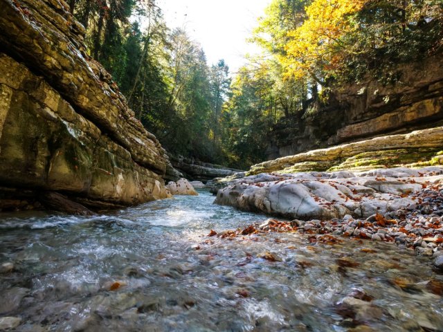 tauglbach13