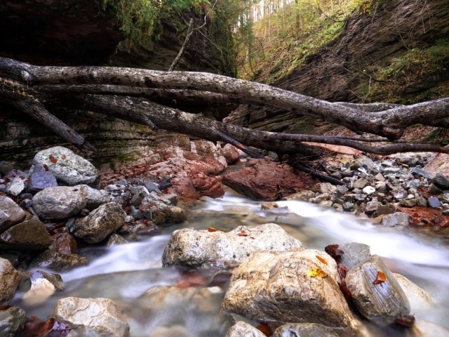 tauglbach2