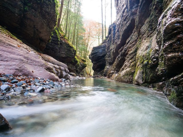 tauglbach3