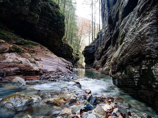 tauglbach4