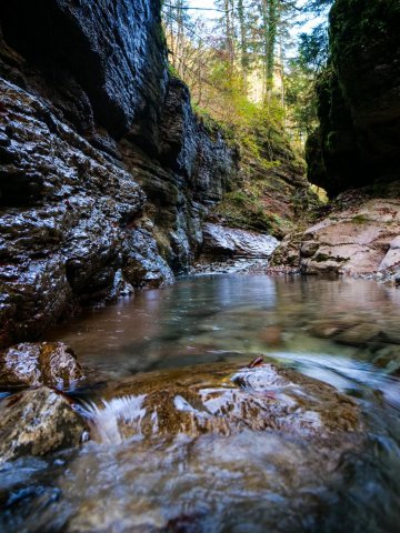 tauglbach6