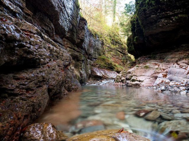 tauglbach7
