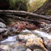 tauglbach2