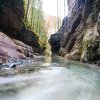 tauglbach3