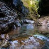 tauglbach6