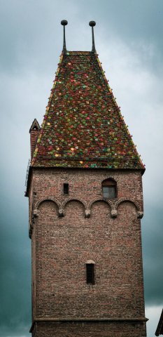 Ulm15