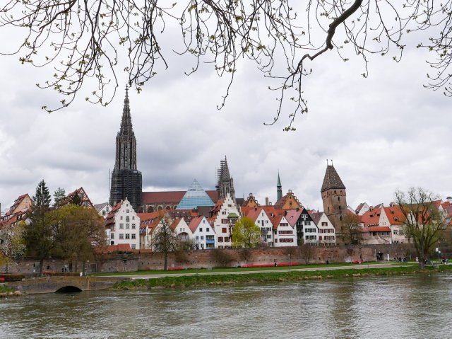 Ulm16