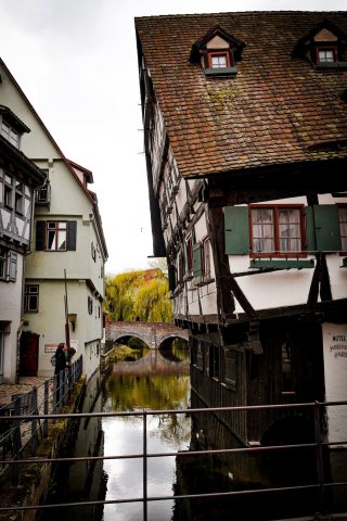 Ulm17