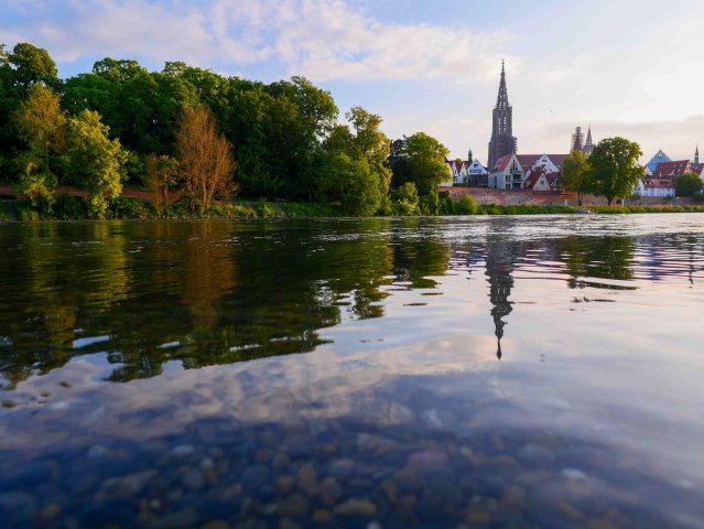 Ulm2