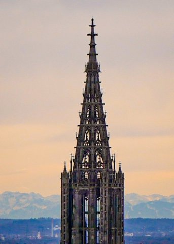 Ulm31