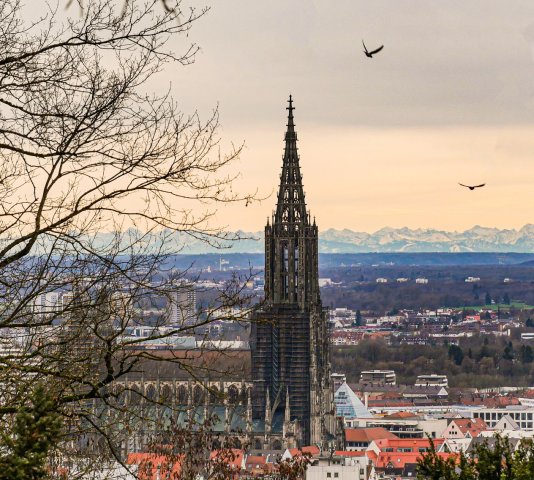 Ulm33