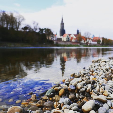Ulm4