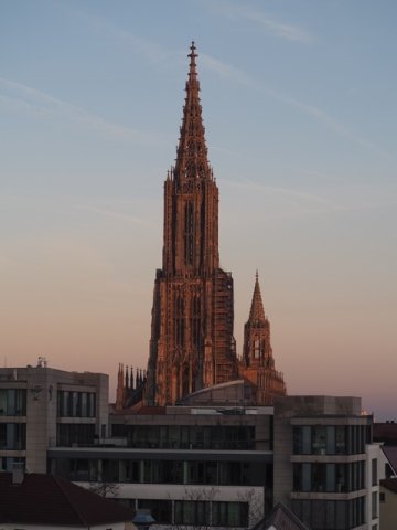 Ulm7