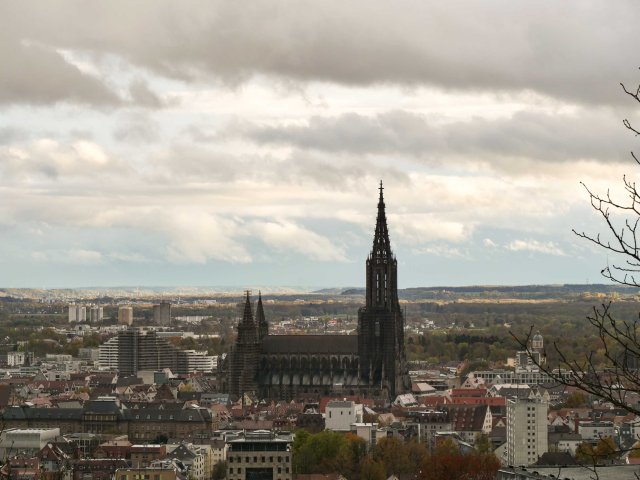 Ulm36