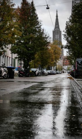 Ulm41