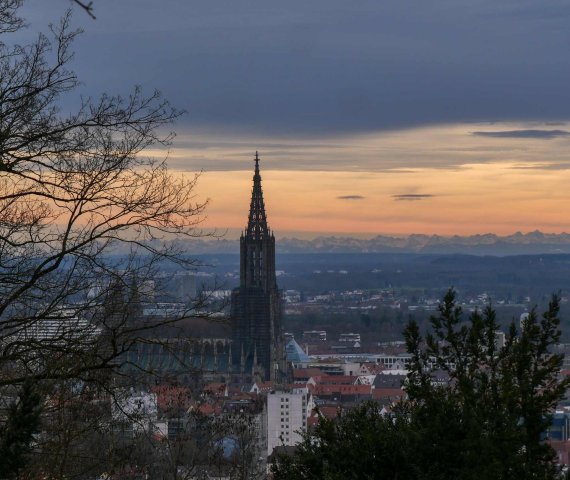 Ulm42