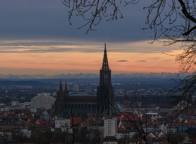 Ulm43