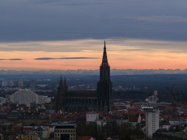 Ulm44