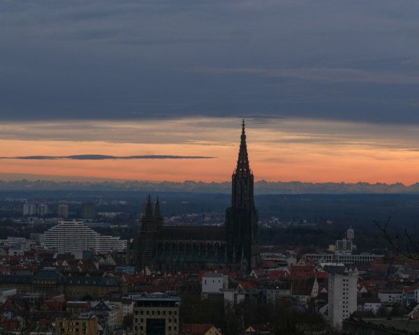Ulm46