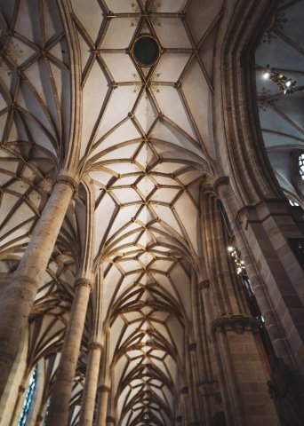 Ulm50