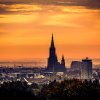Ulm14