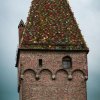 Ulm15