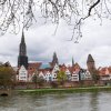 Ulm16