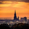 Ulm18
