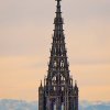 Ulm31