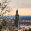 Ulm33