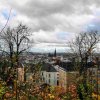 Ulm37