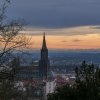 Ulm42