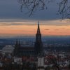 Ulm43