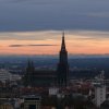 Ulm44