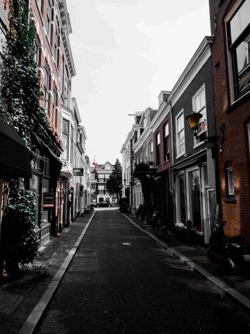 DenHaag2