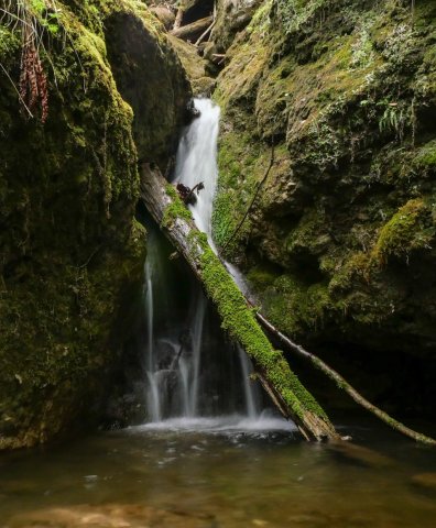 Hinanger Wasserfall